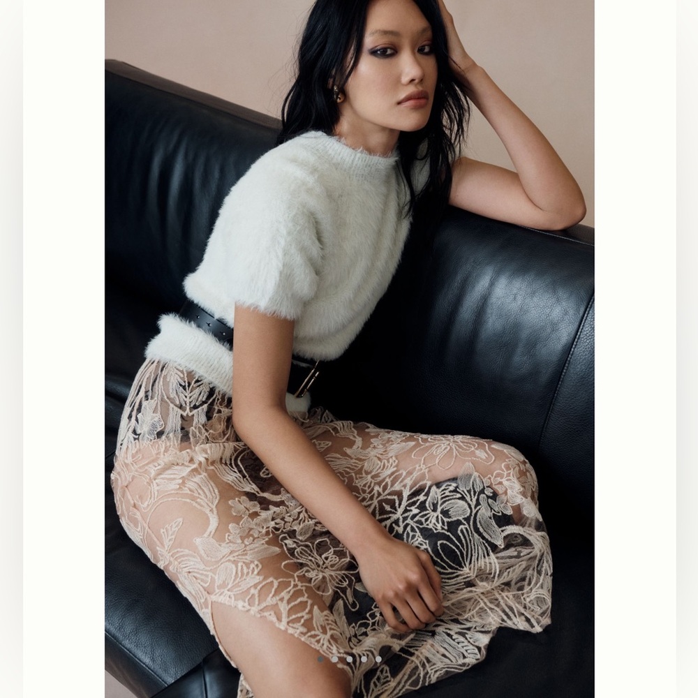 Anthropologie Cream and Tan Lace Skirt
